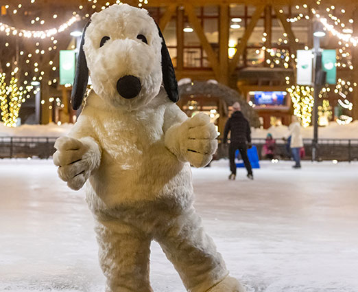 Ice Skate and Chill