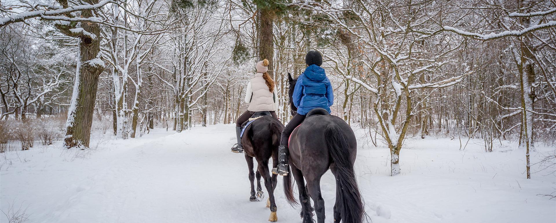 horseback riding tours vermont